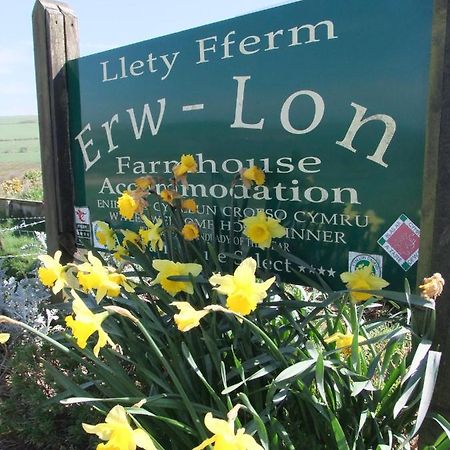 Bed and Breakfast Erw-Lon Farm Pontfaen Esterno foto