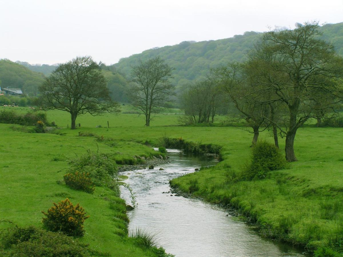Bed and Breakfast Erw-Lon Farm Pontfaen Esterno foto