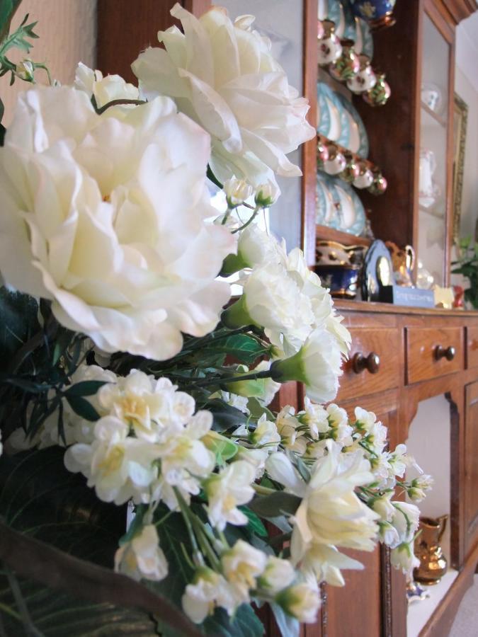 Bed and Breakfast Erw-Lon Farm Pontfaen Esterno foto