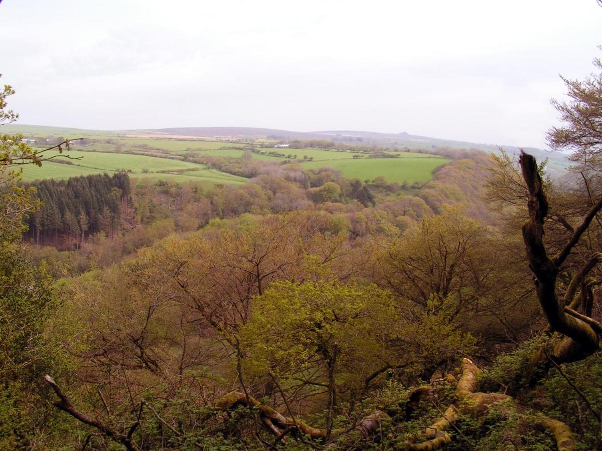 Bed and Breakfast Erw-Lon Farm Pontfaen Esterno foto